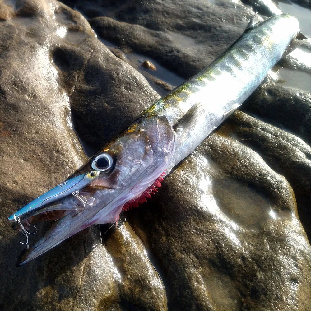 GOBAIT VIB Fishing Lure 20g 25 - Fishing Hook Treble review and price
