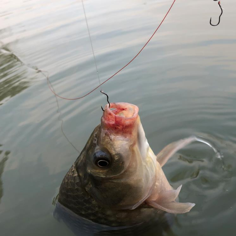 FTK Automatic Flip High Carbon - Fishing Hook Assortment review and price